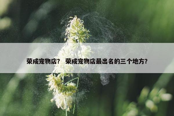 荣成宠物店？ 荣成宠物店最出名的三个地方？