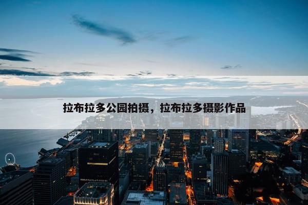 拉布拉多公园拍摄，拉布拉多摄影作品