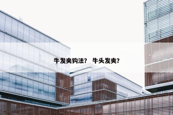 牛发夹钩法？ 牛头发夹？
