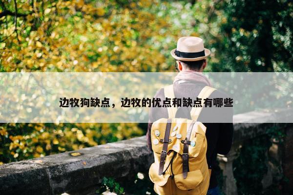 边牧狗缺点，边牧的优点和缺点有哪些