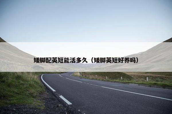 矮脚配英短能活多久（矮脚英短好养吗）