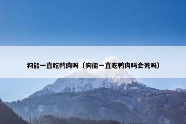 狗能一直吃鸭肉吗（狗能一直吃鸭肉吗会死吗）