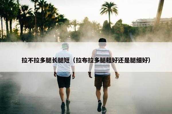 拉不拉多腿长腿短（拉布拉多腿粗好还是腿细好）