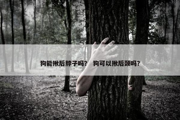 狗能揪后脖子吗？ 狗可以揪后颈吗？