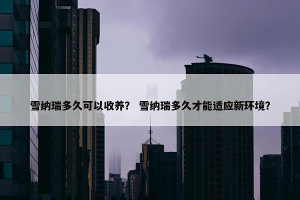 雪纳瑞多久可以收养？ 雪纳瑞多久才能适应新环境？