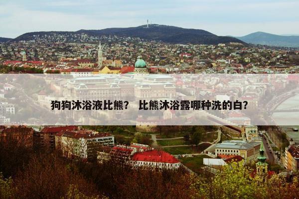 狗狗沐浴液比熊? 比熊沐浴露哪种洗的白?