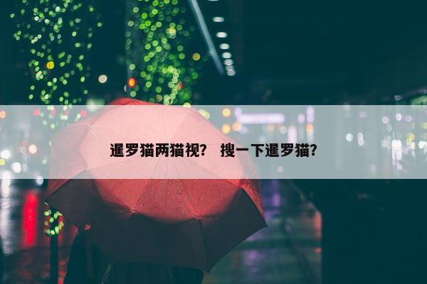 暹罗猫两猫视？ 搜一下暹罗猫？