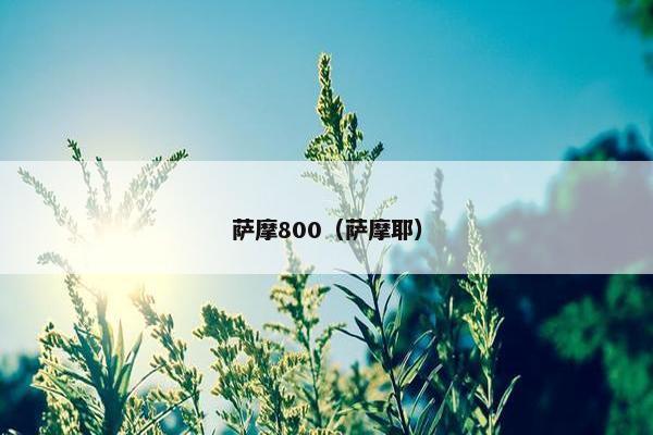 萨摩800（萨摩耶）