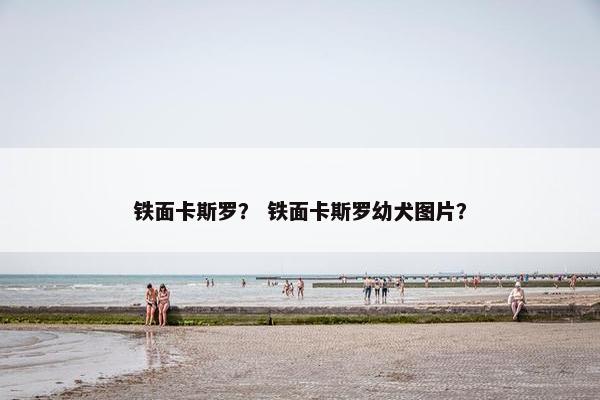 铁面卡斯罗？ 铁面卡斯罗幼犬图片？