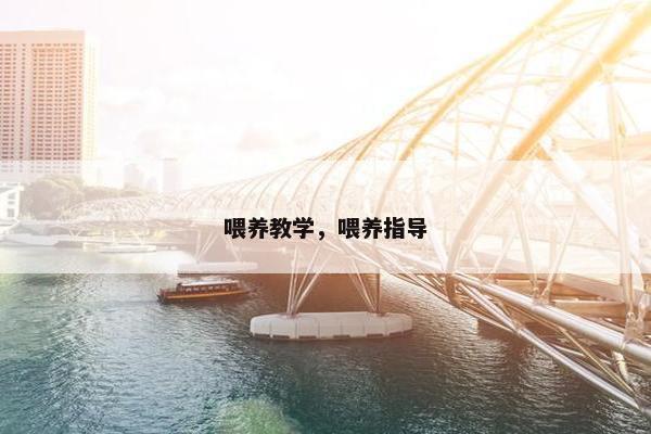 喂养教学，喂养指导