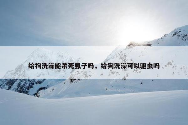 给狗洗澡能杀死虱子吗，给狗洗澡可以驱虫吗