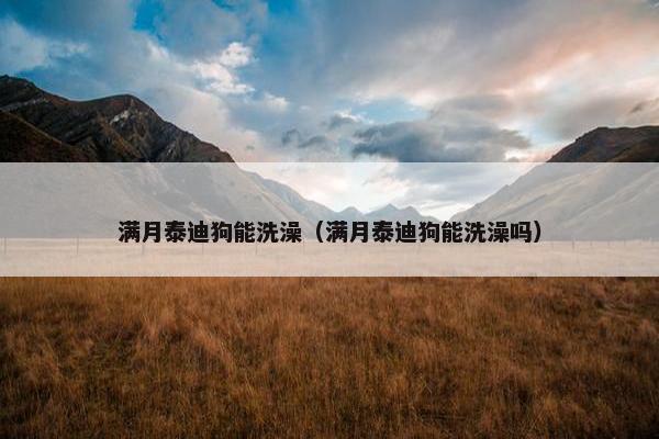 满月泰迪狗能洗澡（满月泰迪狗能洗澡吗）