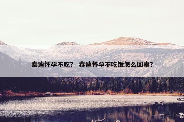 泰迪怀孕不吃？ 泰迪怀孕不吃饭怎么回事？