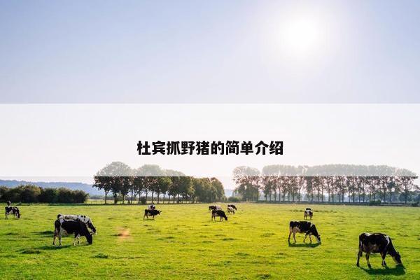 杜宾抓野猪的简单介绍