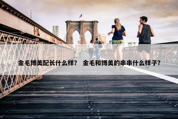 金毛博美配长什么样？ 金毛和博美的串串什么样子？