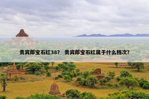 贵宾郎宝石红38？ 贵宾郎宝石红属于什么档次？