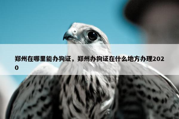 郑州在哪里能办狗证，郑州办狗证在什么地方办理2020