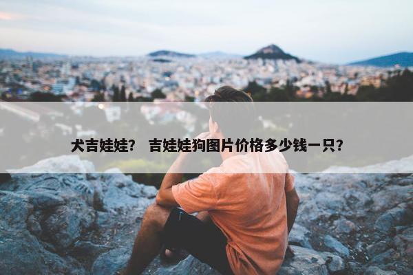 犬吉娃娃？ 吉娃娃狗图片价格多少钱一只？