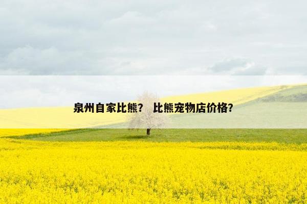 泉州自家比熊？ 比熊宠物店价格？