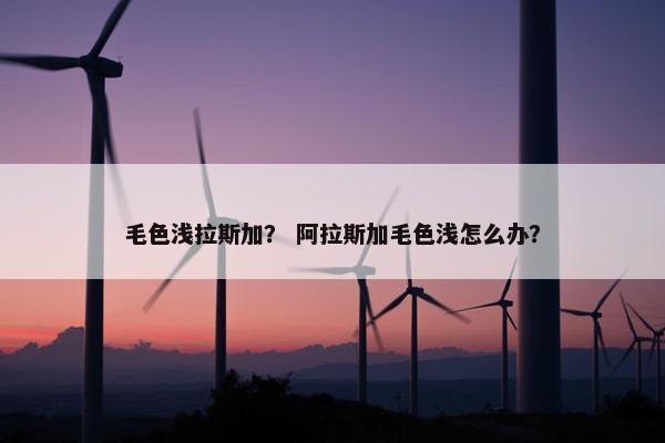 毛色浅拉斯加? 阿拉斯加毛色浅怎么办? 毛色浅拉斯加? 阿拉斯加毛色浅怎么办?