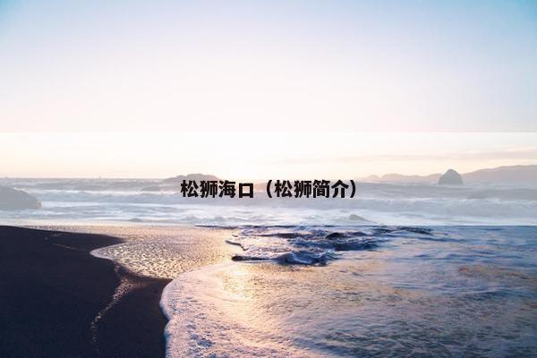 松狮海口（松狮简介）