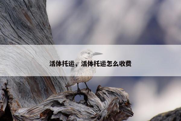 活体托运,活体托运怎么收费