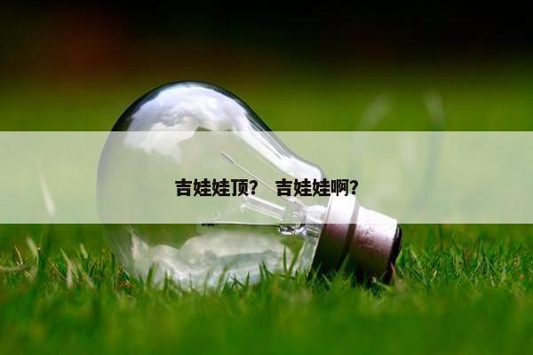吉娃娃顶? 吉娃娃啊? 吉娃娃顶? 吉娃娃啊?