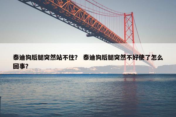 泰迪狗后腿突然站不住? 泰迪狗后腿突然不好使了怎么回事?