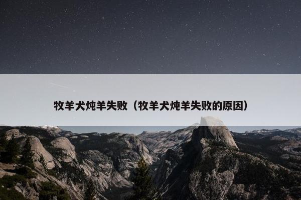 牧羊犬炖羊失败（牧羊犬炖羊失败的原因）