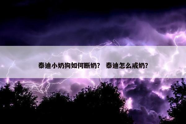 泰迪小奶狗如何断奶？ 泰迪怎么戒奶？