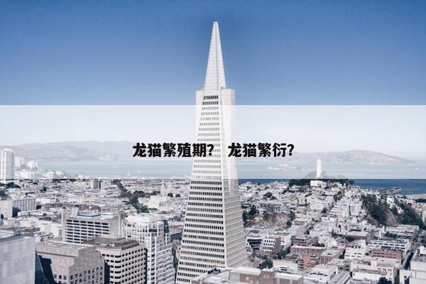 龙猫繁殖期？ 龙猫繁衍？