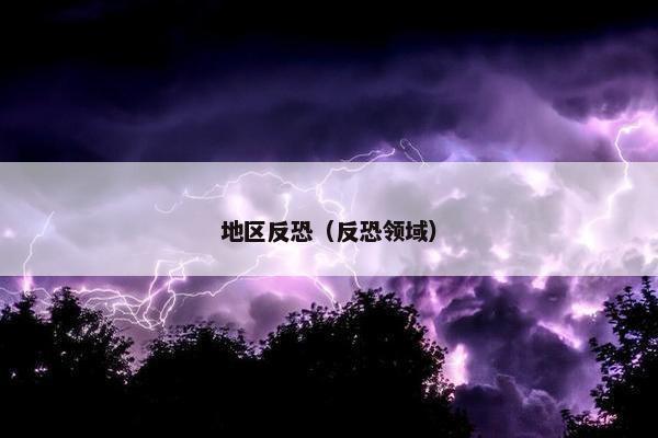 地区反恐（反恐领域）