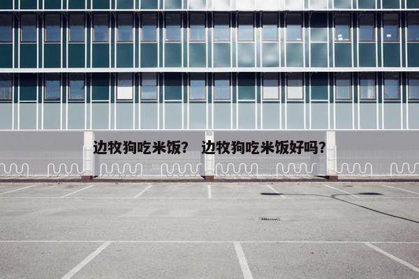 边牧狗吃米饭？ 边牧狗吃米饭好吗？