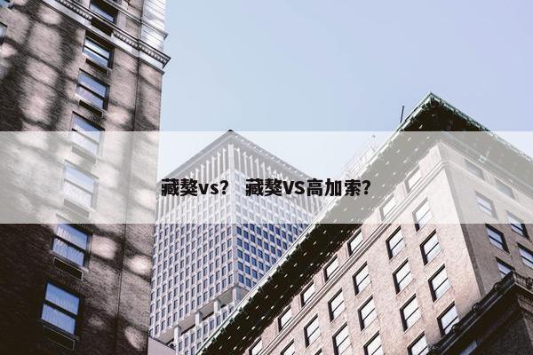 藏獒vs？ 藏獒VS高加索？