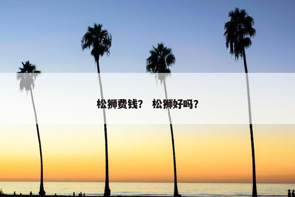 松狮费钱？ 松狮好吗？