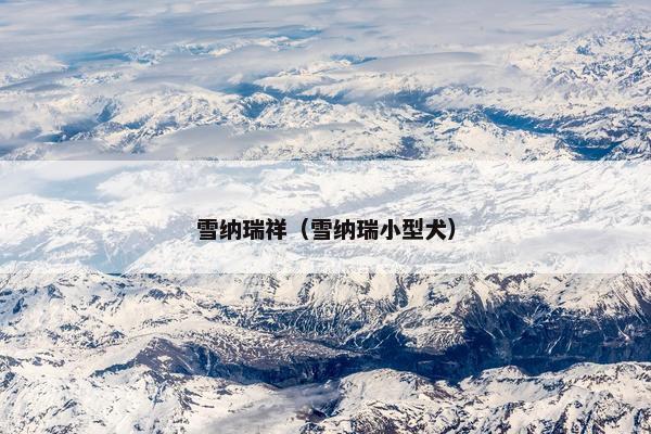 雪纳瑞祥（雪纳瑞小型犬）