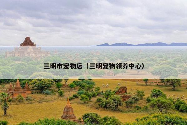 三明市宠物店（三明宠物领养中心）