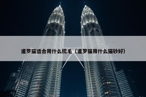 暹罗猫适合用什么梳毛（暹罗猫用什么猫砂好）