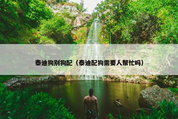 泰迪狗别狗配(泰迪配狗需要人帮忙吗)