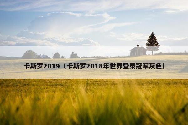卡斯罗2019（卡斯罗2018年世界登录冠军灰色）