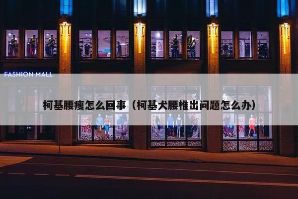 柯基腰瘦怎么回事(柯基犬腰椎出问题怎么办)