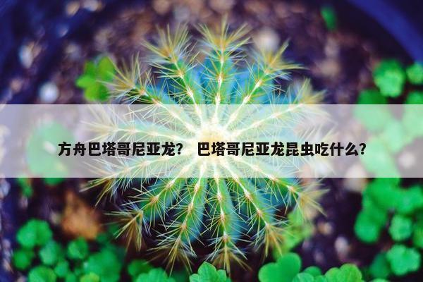 方舟巴塔哥尼亚龙? 巴塔哥尼亚龙昆虫吃什么?