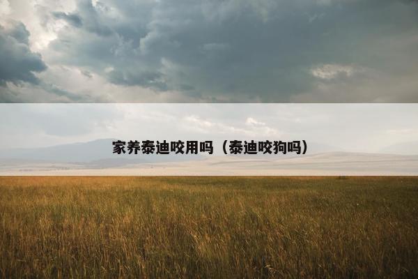 家养泰迪咬用吗(泰迪咬狗吗)