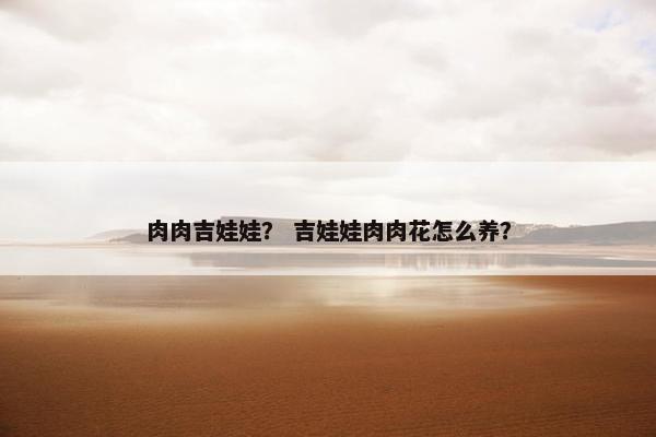 肉肉吉娃娃? 吉娃娃肉肉花怎么养?