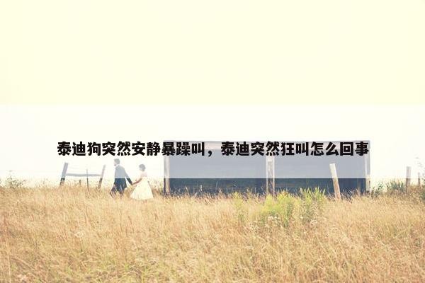 泰迪狗突然安静暴躁叫，泰迪突然狂叫怎么回事