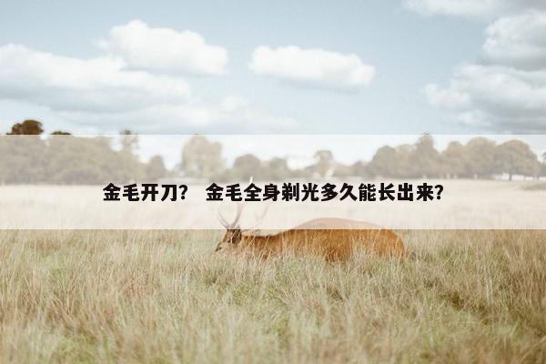 金毛开刀？ 金毛全身剃光多久能长出来？