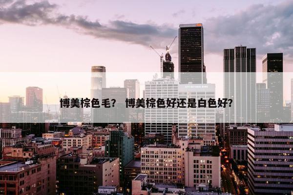 博美棕色毛？ 博美棕色好还是白色好？