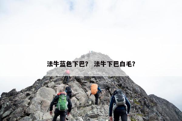 法牛蓝色下巴？ 法牛下巴白毛？