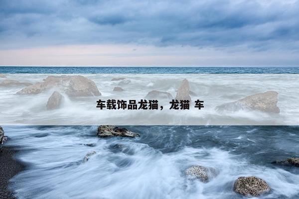 车载饰品龙猫，龙猫 车