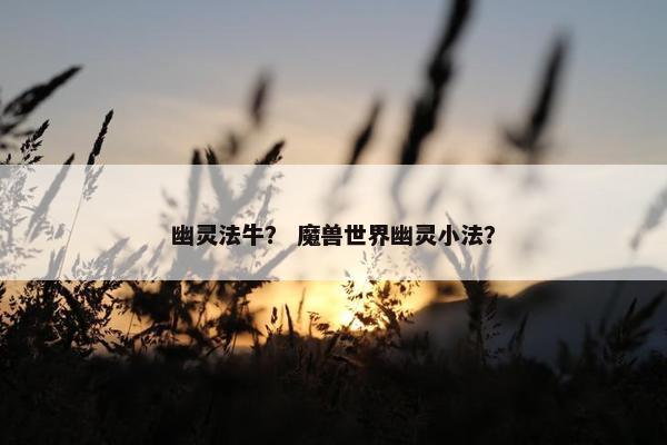 幽灵法牛? 魔兽世界幽灵小法?